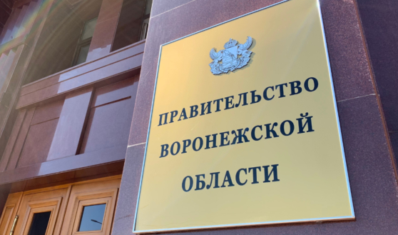 Правительство Воронежской области.