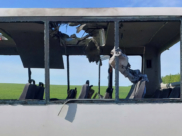 Автобус был атакован дроном ВСУ.