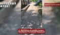 Так выглядит тротуар.