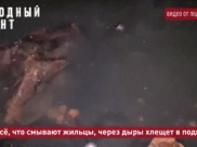 Так выглядит подвал дома.