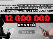 За сутки воронежцы потеряли 12 млн рублей.