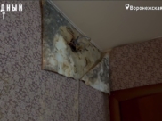 В квартире после затоплений не работает часть проводки.