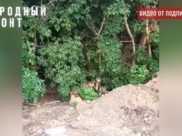 Фекальный пруд исчез.