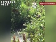 Люди жалуются на зловонный ручей.