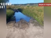 Зловонная лужа.