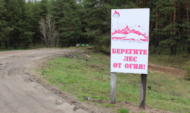 Берегите лес от огня!