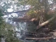 Ручеёк впадает в водохранилище.