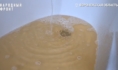 Так выглядит вода.