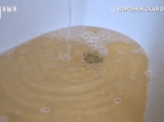 Так выглядит вода.