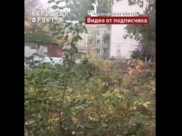 На месте зарослей должны быть детская и спортивная площадки.