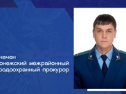 Андрей Мостовец.