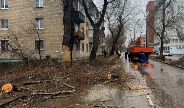 На улице спилили деревья.