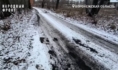 Так выглядит дорога.