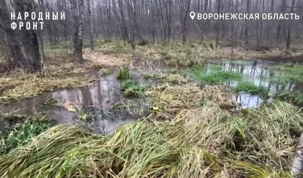 Так сейчас выглядит водоем.