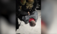 Задержание подозреваемых.