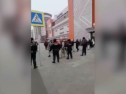 Нелегалов увозят.