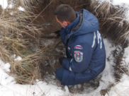 Уничтожение боеприпасов.