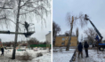 Работы прошли в сквере.