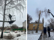 Работы прошли в сквере.