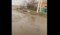 Улица превращалась в реку.