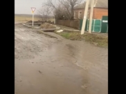 Улица превращалась в реку.