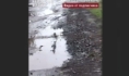 Так выглядит улица.