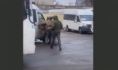 Подозреваемого задержали.