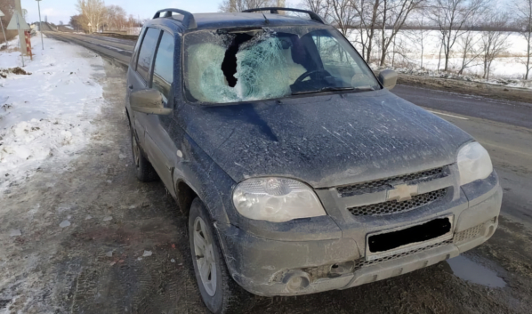 Новости Воронежа публикуют видео того, как это произошло