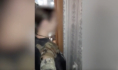 Задержанная в Воронеже.
