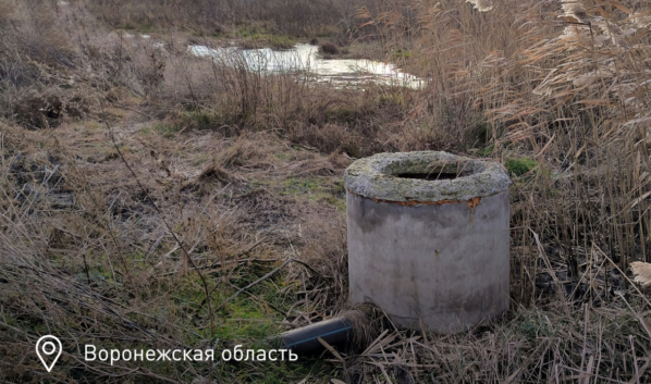 Реку заливают нечистоты.