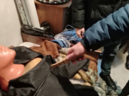 Следственный эксперимент.
