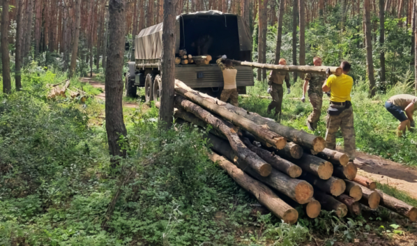 Уборка «Северного леса».