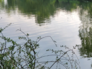 Река.