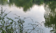 Река.