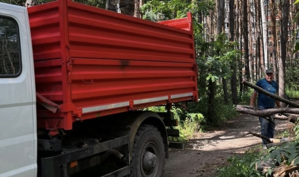 Вывоз древесного мусора.