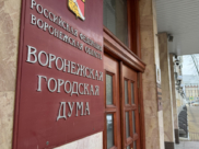 Воронежская городская Дума.