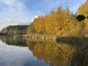 Осень в Воронеже.
