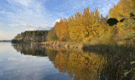 Осень в Воронеже.