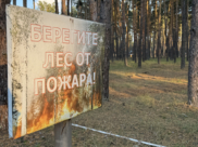 Берегите лес от пожара.
