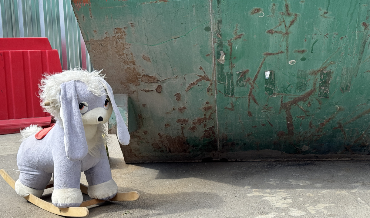 800 тысяч тонн отходов в год: Воронежская область выйдет на 100% сортировку ТКО к 2030-му