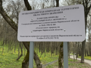Центральный парк Воронежа.