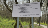 Центральный парк Воронежа.