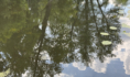 Река.