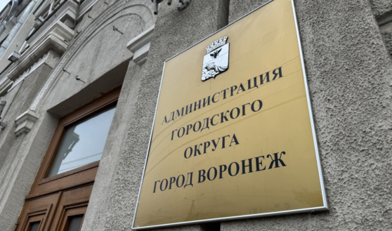 Мэрия Воронежа.