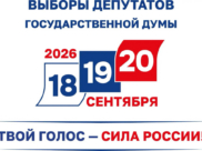 Выборы.