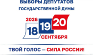 Выборы.