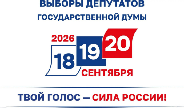 Выборы.