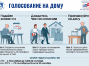 Голосование на дому.