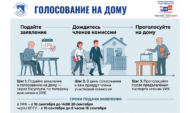 Голосование на дому.
