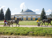 Хреновской конный завод.